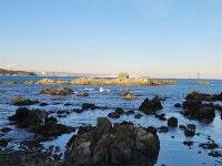 새해 소원 빌기 좋은 바다, 여기는 좀 특별합니다