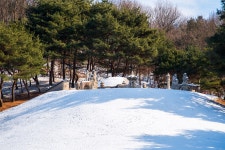 역사책 씹어먹는 이토록 재밌는 왕릉 구경 [중앙선 역사문화기행]