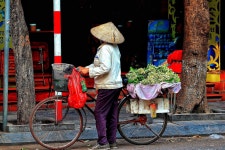 베트남쌀국수 포, 이런 음식인줄 아셨습니까? [전명윤의 타인의 식탁]