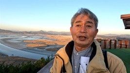 순천만으로 긴급 피난 일본 흑두루미... 그 이유 기막히다