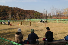 또 보도블록 교체? 2022년 화성시 예산낭비신고 총 21건