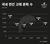 결국 삭제한 유튜버의 밍크고래 먹방, 이건 모르셨죠?