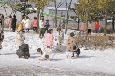 줄줄이 폐업 예고... 유치원·어린이집에 다닐 아이들이 없다