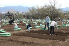 도심에서 나도 키워볼까? 세곡천 힐링텃밭 분양