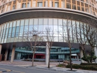 번아웃증후군, 이렇게 극복했습니다  [직장인의 재미]