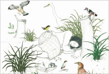 인테리어 이용 말고 식물이 좋아할 환경 찾아주세요