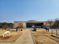 강원도 여행을 춘천박물관에서 시작한 이유