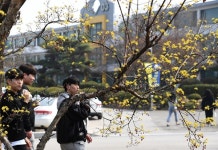 [거창] 캠퍼스의 봄