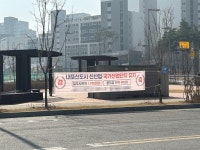 [홍성] 국가산단 유치 좋지만… 축하 현수막에 가로수 몸살