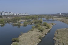 연초록빛 금호강에서 수달의 집 발견하다