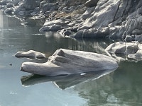 지리산에 이런 곳이 있다고? 경외감마저 든다