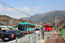 봄꽃 보러 전국에서... 구례에 차량 행렬이 끝 없네