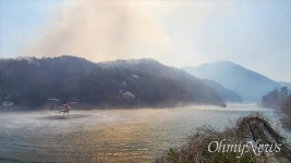 [오마이포토] 새카맣게 타버린 나무, 대전 서구 산직동 산불
