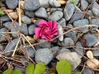 어려운 종이접기를 굳이 검색해서 찾는 이유