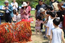 돈 없이도 행복한, 초록 축제가 온다