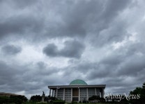 입당 전 윤석열에 투자한 국회의원은?