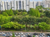 아파트 ㅅ 주차장을 아시나요 [파리로 가는 길]