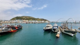 쇠구슬 새총에 물 절도까지... 캠핑족에 무법상태된 바닷가 마을