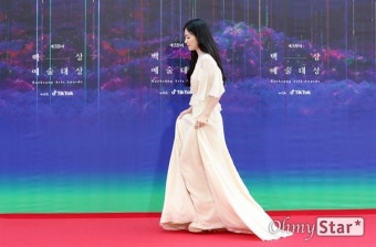[오마이포토] '백상' 송혜교, 레드카펫 밟는 동은이