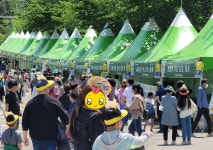 시간여행 하는 또다른 방법, 사천와룡문화제
