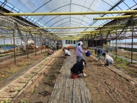 대전 도심 한복판에 농장... 30대 농부의 이유 있는 고집