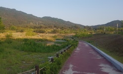 벗겨지고, 갈라지고 홍예공원 산책로 바닥 균열로 주민 불편