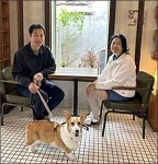 붙잡히면 보호소로 가 버려진 개의 시선을 다루다