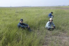 수라갯벌에 새만금신공항? 과연 정답일까