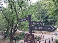 마니산 단군로 2.9km 맨발 등정기