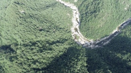 물 반 고기 반이었다는 연곡천, 병들어가는 이유