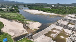 물 반 고기 반이었다는 연곡천, 병들어가는 이유