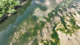 물 반 고기 반이었다는 연곡천, 병들어가는 이유