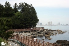 한 번은 걸어야 할 길, 속초 외옹치항 바다향기로