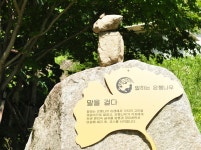 지경당 담벼락에 만개한 붉은 찔래꽃