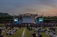 등나무에 기대어 보는 영화, 이런 축제 또 없습니다