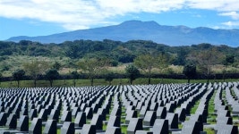 개가 떠나자 돼지가 왔다 소름끼치게 닮은 두 섬의 비극 [윤태옥의 길 위에서 읽는 한국전쟁]