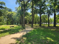 무더위 피해 한숨 돌릴 곳, 울산에도 있었네