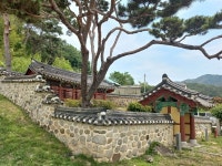 늙은 소나무마저 예를 갖추는 광주 박산마을