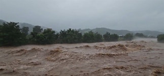 회사고 나발이고 소용없다! 경북 극한폭우 속 어르신의 외침 [보그(Vogue) 춘양]