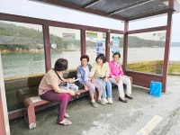 아침 7시에 버스 오면 좋겄는디... 울퉁불퉁 도로 좀 해결해 주소