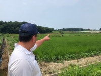 화성시청 장안면 돼지농장서 분뇨 무단방류 확인, 경찰 고발