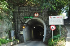 [사진] 여름 밝히는 붉은 꽃, 배롱꽃이 만개했습니다