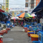한국 아귀요리의 고향, 아귀포+맥주 축제가 열립니다