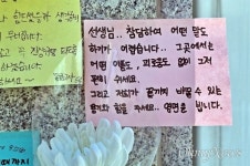또 쌓여가는 학교 앞 근조화환... 서이초 49재 채 지나기도 전에