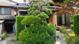일본정원에서 본 이것, 그 역사가 600년 [일본정원사 입문기]