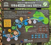 광릉숲길 걸으며 자연과의 일체감 느껴보세요