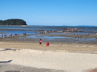 [사진] 무창포 신비의 바닷길, 이게 다 사람입니다