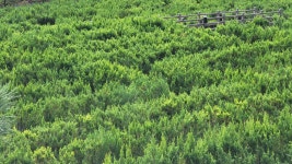이곳에서 사랑의 미로에 갇혀보세요