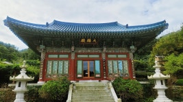 고양이도 쉬어가는 곳... 다도해 절경 보러 갔습니다