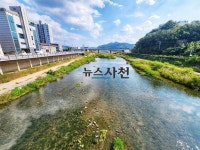 한순간에 우윳빛으로 변한 사천강, 무슨 일?
